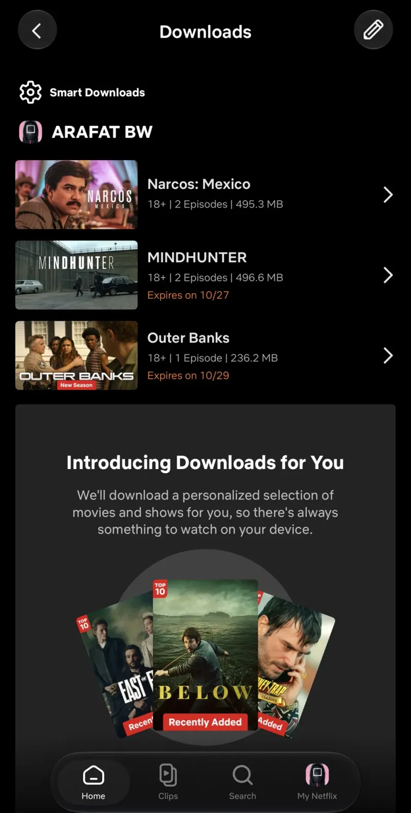 Netflix download screen: series downloaded to watch offline